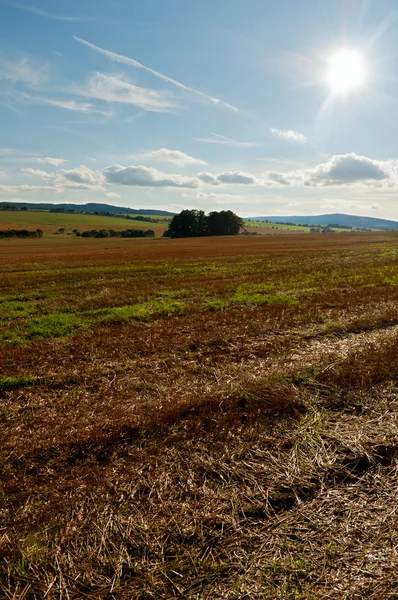 Geoogste landbouwgebied — Stockfoto