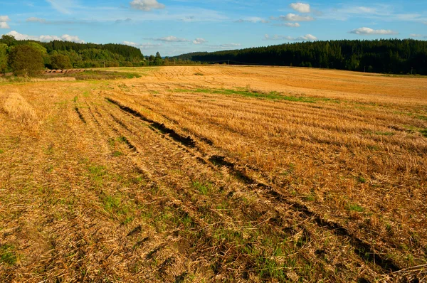 Harvested Agricultural Field — Stock Photo, Image