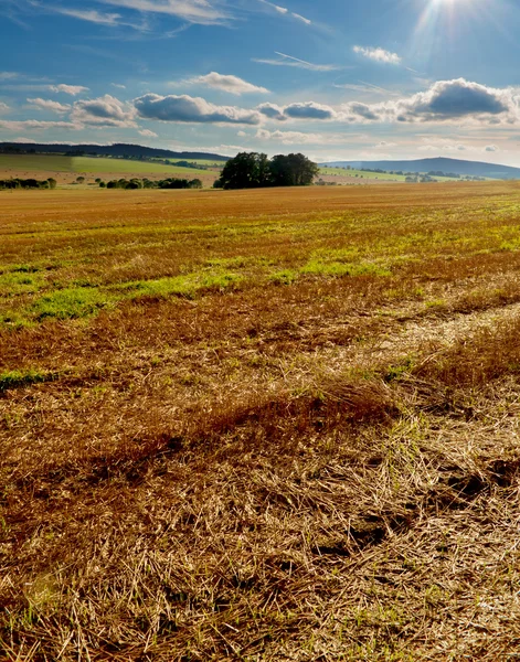 Harvested Field — Stock Photo, Image
