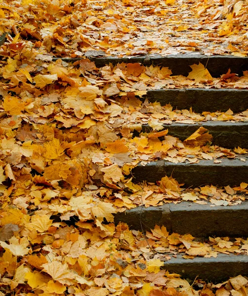 Schody w jesieni — Zdjęcie stockowe