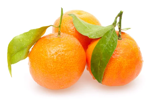 Stock image Tangarines