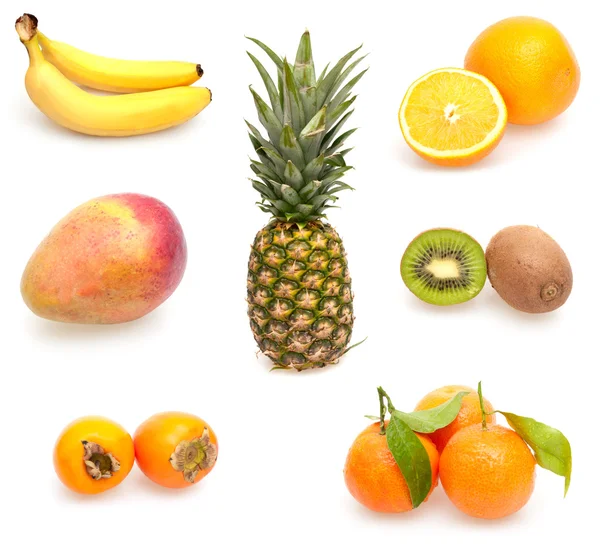 Collection of Tropical Fruits — Stock Photo, Image