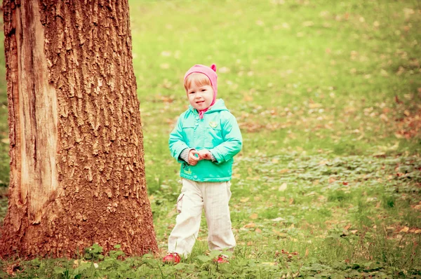 秋の公園で歩いてかわいい子 — ストック写真