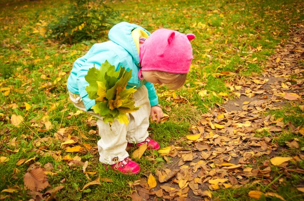 Enfant mignon marchant dans le parc d'automne — Photo