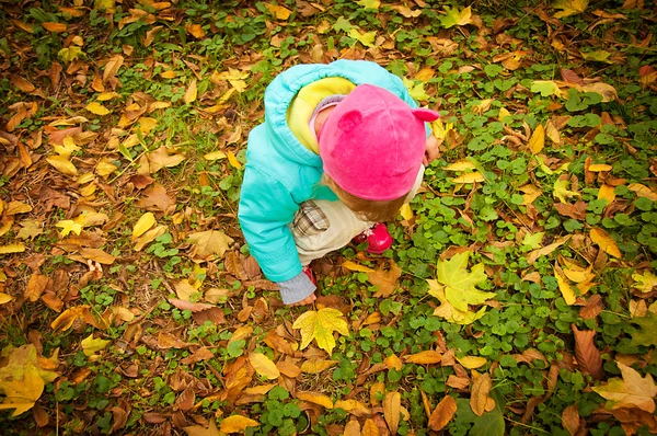 Niño lindo caminando en el parque de otoño —  Fotos de Stock