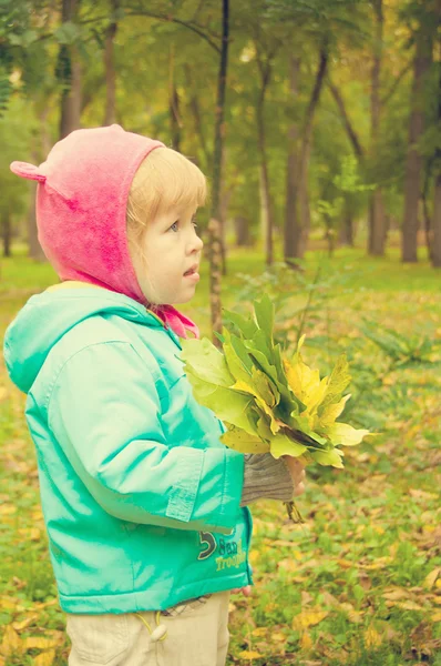 Kind geht im Herbstpark spazieren — Stockfoto