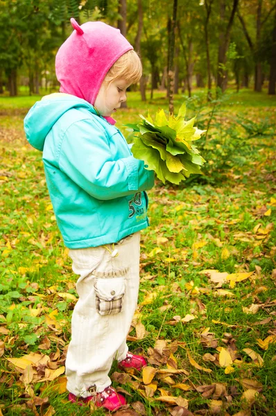 Enfant marchant dans le parc d'automne — Photo