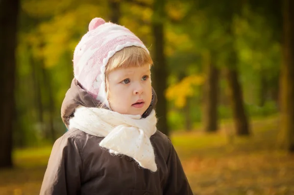 Sonbahar parkta yürüyen çocuk — Stok fotoğraf
