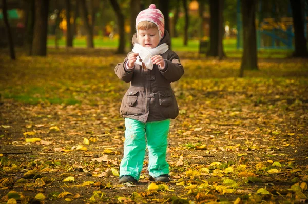 Caminhada criança no parque outono — Fotografia de Stock