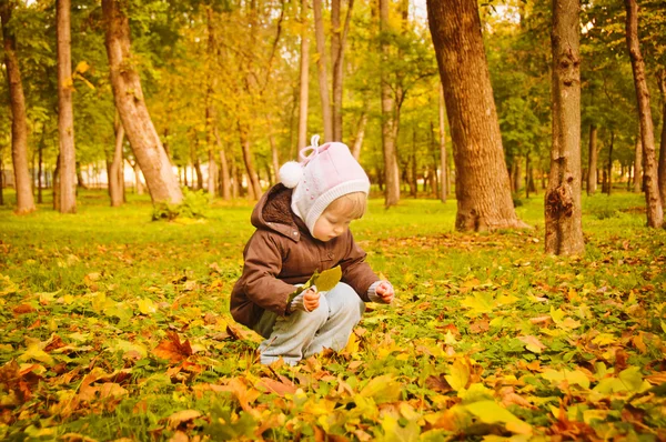 Caminhada criança no parque outono — Fotografia de Stock