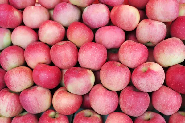 stock image Apple fruits