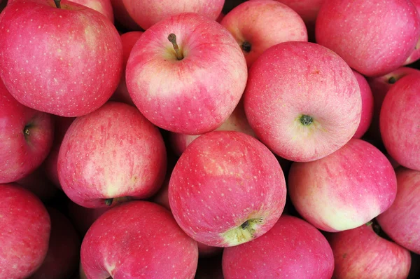 stock image Apple fruits