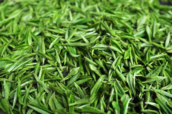 Chá verde fresco — Fotografia de Stock