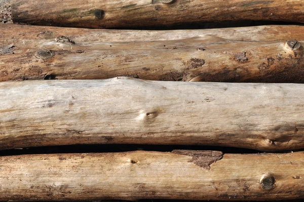 Pile of log — Stock Photo, Image