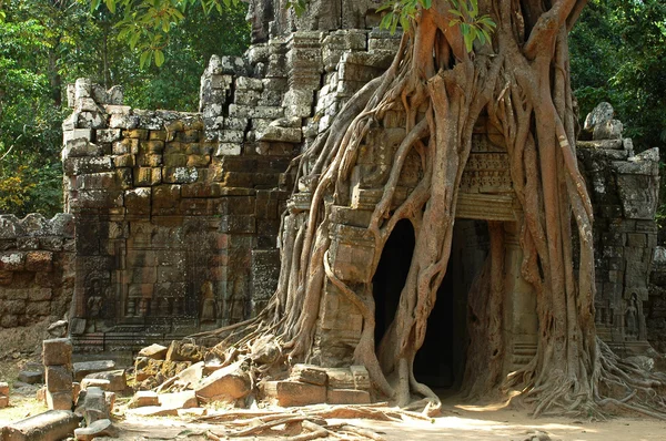 Angkor, Cambodja — Stockfoto