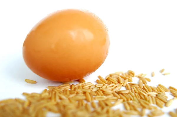 Huevos y granos de trigo —  Fotos de Stock