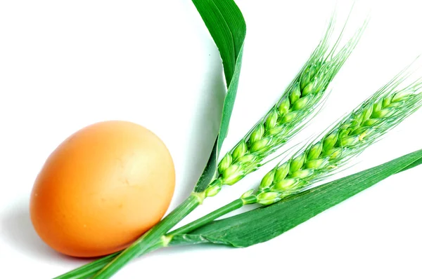 Яйце і пшениці — стокове фото