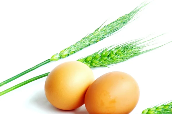 Ägg och vete — Stockfoto