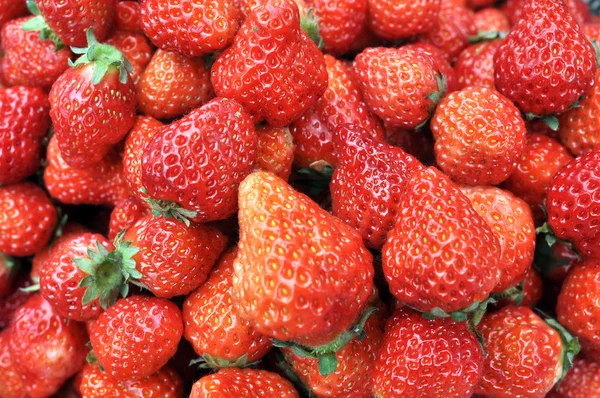 stock image Strawberry fruits