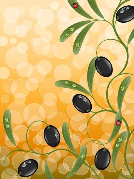 Fundo floral com ramo de oliva — Vetor de Stock
