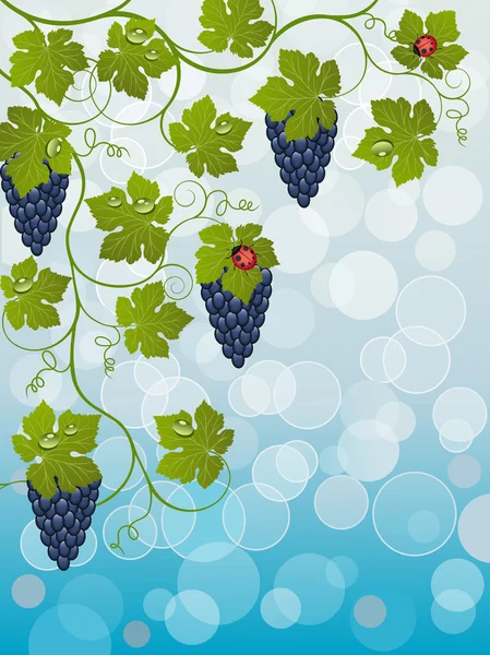 Floraler Hintergrund mit Weinstock — Stockvektor