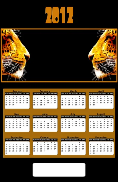 2012 年霓虹灯非洲豹头日历 — 图库照片