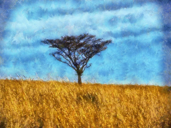 Árbol de espina única en la pintura del campo de hierba —  Fotos de Stock