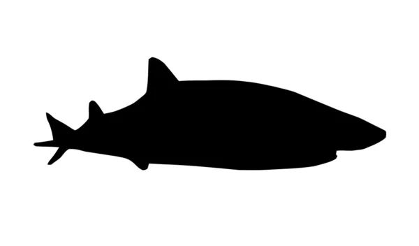 Силуэт акулы — стоковый вектор