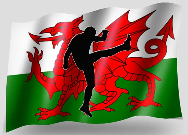 Country Flag Sport Icon Silhouette Welsh Rugby High Kick — Stock Photo, Image