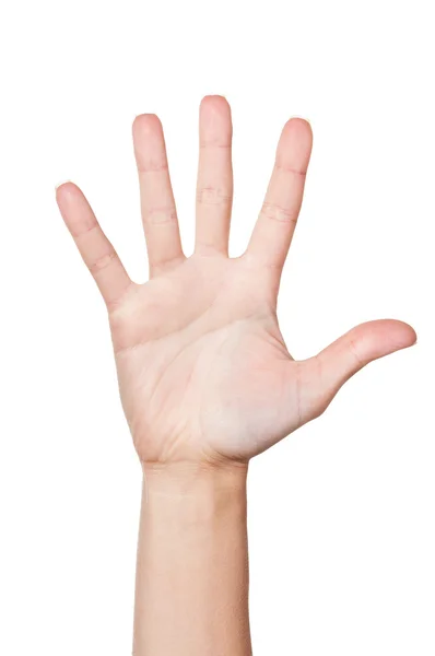 Ženská ruka (dlaň) — Stock fotografie