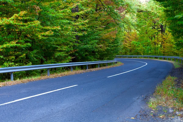 stock image Asphalt road winding through the woods.