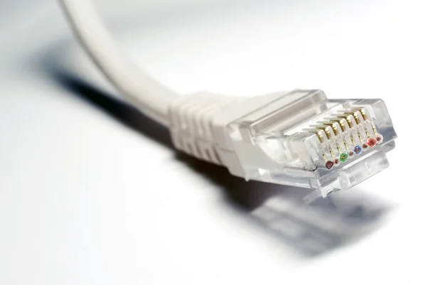 UTP kabel close-up op witte achtergrond. focus op rj45. — Stockfoto