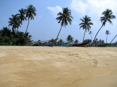 kalutara yakınındaki plajda tekneler. Sri lanka, Hint Okyanusu