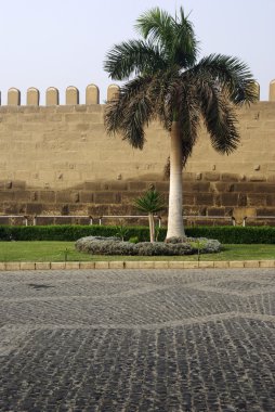 İçkale'nın duvar ve palmiye ağacı yakın. Cairo, Mısır.