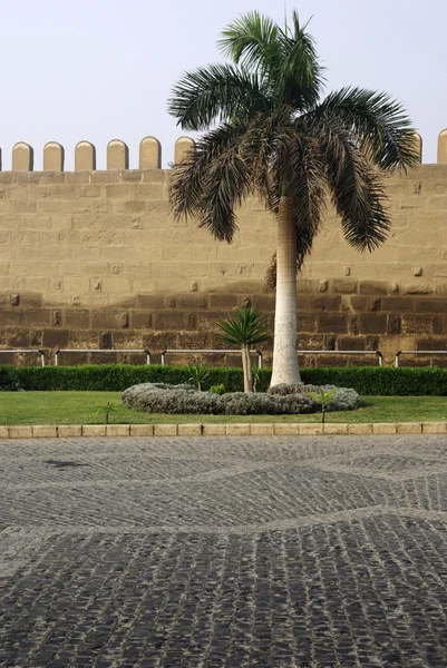 Τειχών της Ακρόπολης και φοίνικα δίπλα του. Κάιρο, Αίγυπτος. — Φωτογραφία Αρχείου