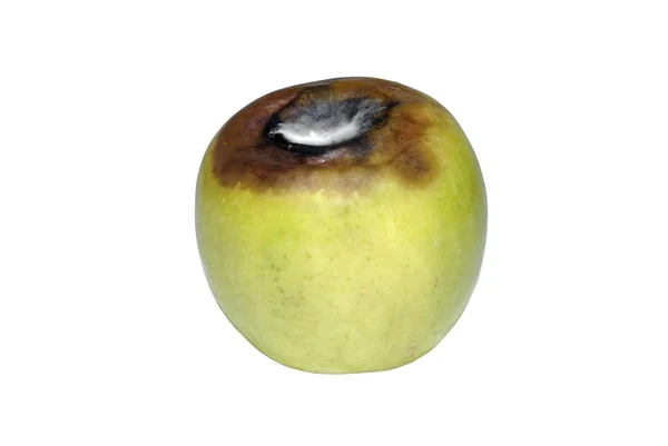 Veroudering van groene appel met schimmel geïsoleerd op witte achtergrond. — Stockfoto