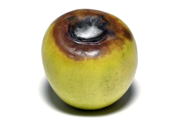 Żółty starzenia się jabłko na białym tle na białym tle z cieniem. — Zdjęcie stockowe