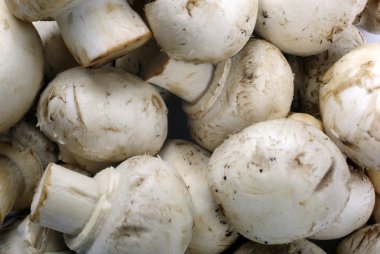 yenilebilir champignon mantar makro besin arka plan olarak.