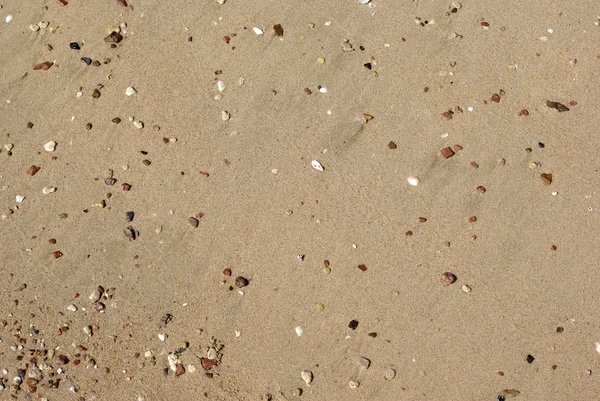 Kustlijn van de rode zee met kiezels en zand als achtergrond of backgr — Stockfoto
