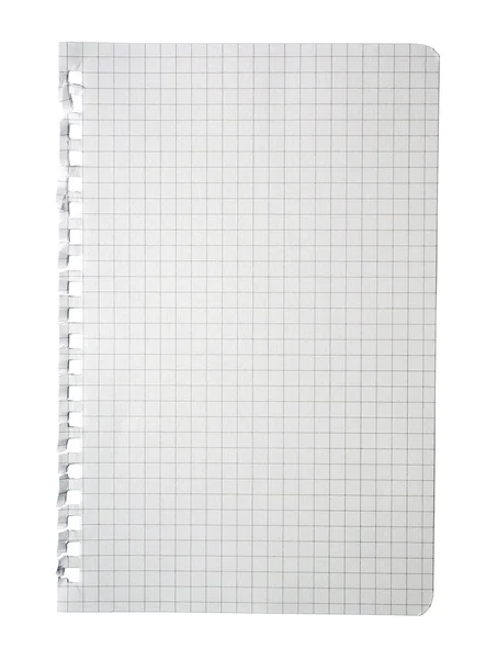 Página de bloco de notas verificado rasgado isolado no fundo branco . — Fotografia de Stock