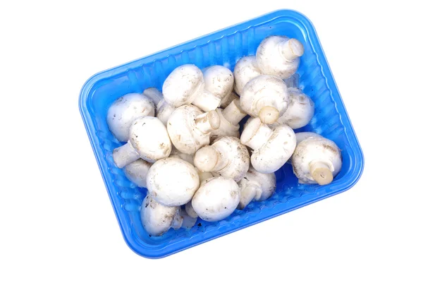 Cogumelos Champignon em embalagem azul isolados sobre fundo branco . — Fotografia de Stock