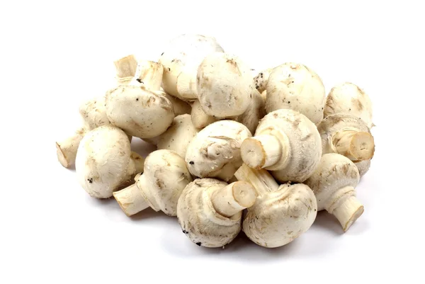 Kupie grzybów jadalnych na białym tle na białym tle z shado — Zdjęcie stockowe