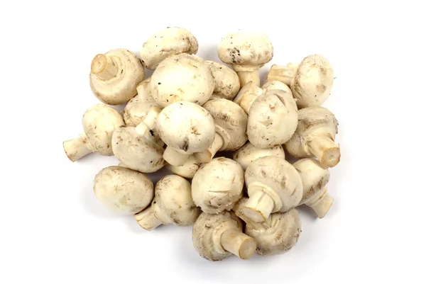 Σωρό champignon μανιτάρια απομονωθεί σε λευκό φόντο. — Φωτογραφία Αρχείου