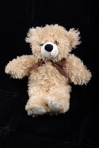 stock image Brown bear toy isolated on black background.