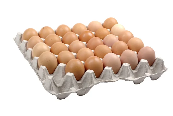 Картонная упаковка с яйцами на белом фоне . — стоковое фото