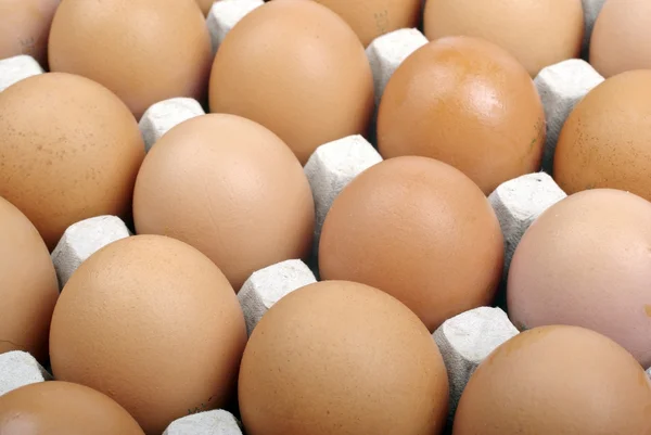 Huevos pardos en paquete de cartón macro como fondo o telón de fondo . —  Fotos de Stock