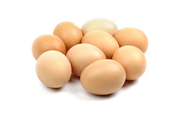 Ovos castanhos não pintados isolados sobre fundo branco com sável macio — Fotografia de Stock