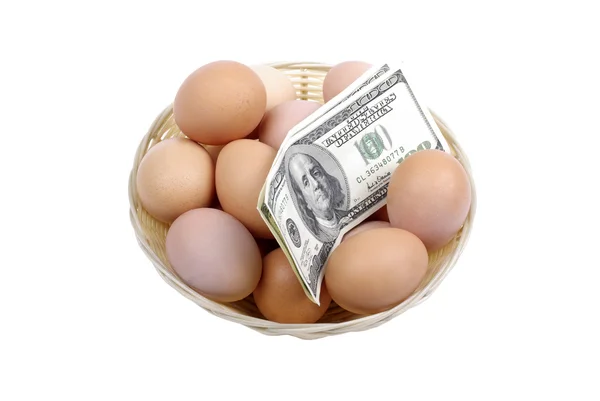 Eier mit Dollars im Korb isoliert auf weißem Hintergrund. Finanzielle — Stockfoto