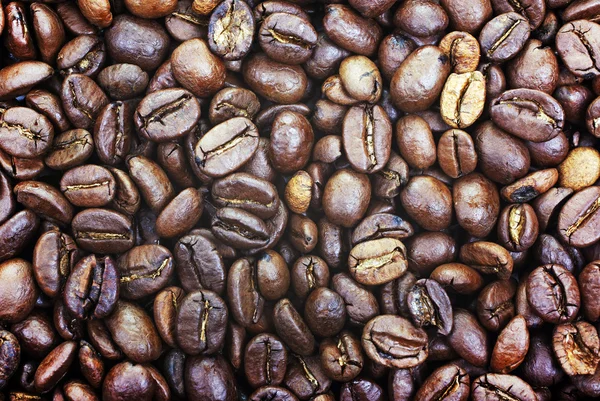 Heap of brown roasted coffee beans closer photo as background or — Stock Photo, Image