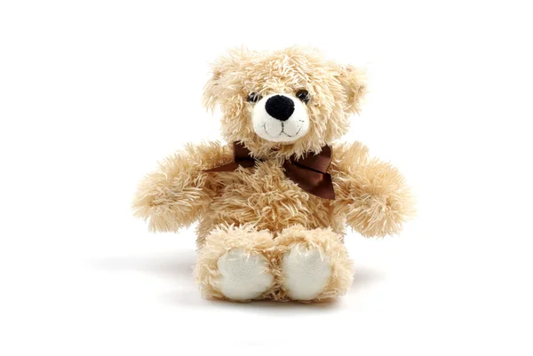 Brown teddy bear toy isolated on white background with shadow. Stock Photo